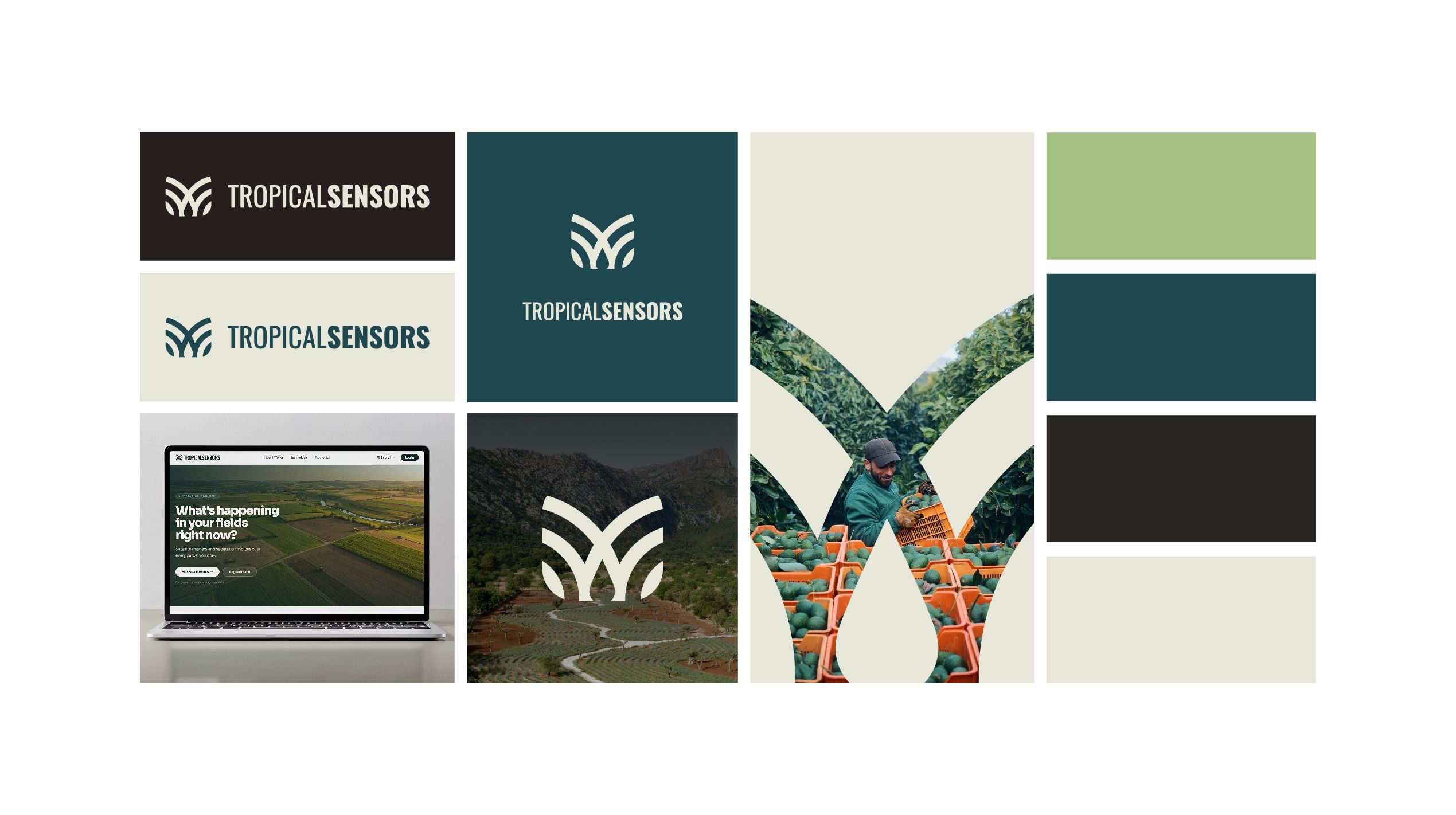 TropicalSensors brand board: the logo on dark and light backgrounds, the leaf symbol over field photography, a green and teal color palette, and the landing page on a laptop.